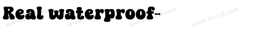 Real waterproof字体转换
